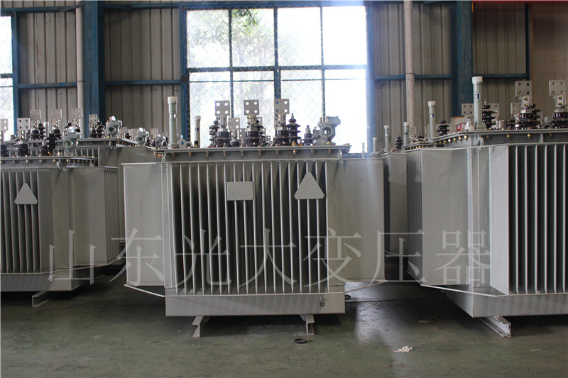 抚松S20-500KVA/10KV